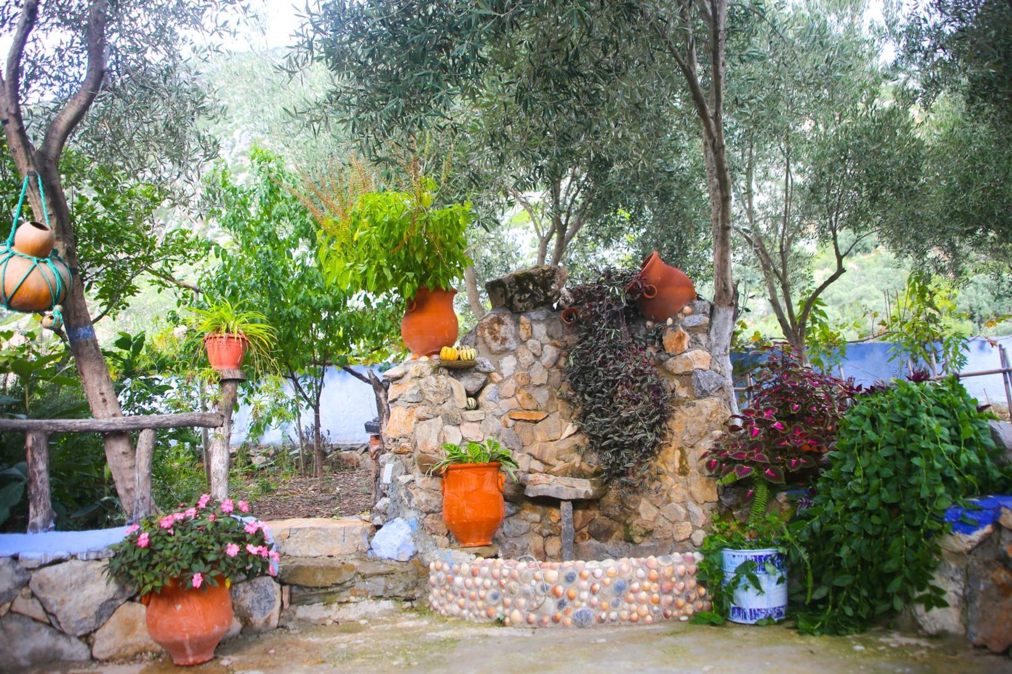 Blue House Town Villa Chefchaouen Buitenkant foto