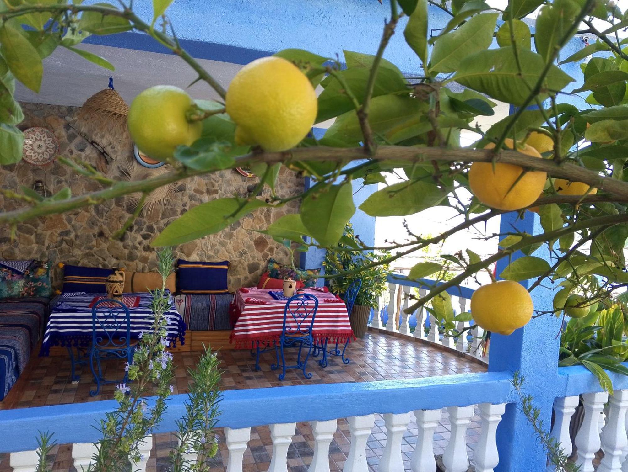 Blue House Town Villa Chefchaouen Buitenkant foto